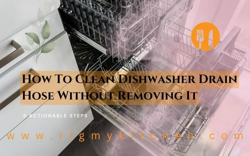 How To Clean Dishwasher Drain Hose Without Removing
