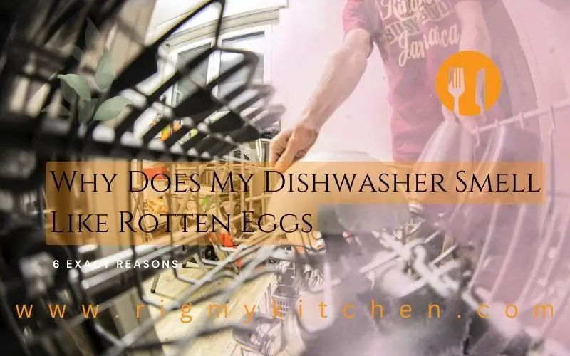 Why Does My Dishwasher Smell Like Rotten Eggs