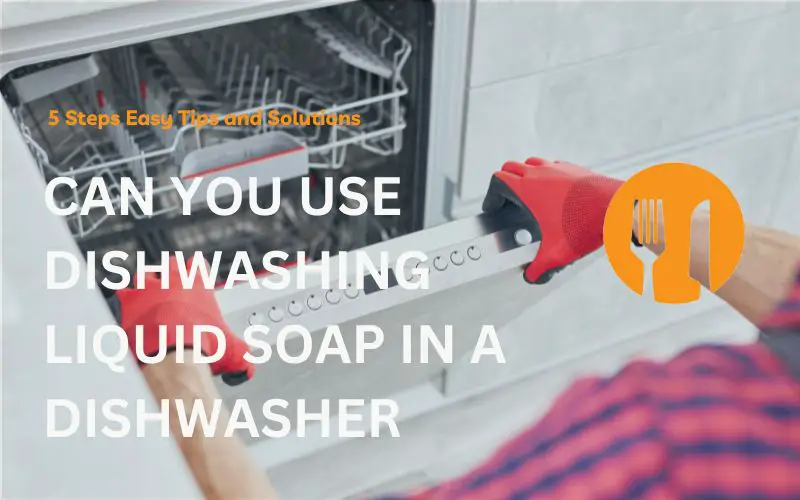 Can You Use Dishwashing Liquid Soap in a Dishwasher