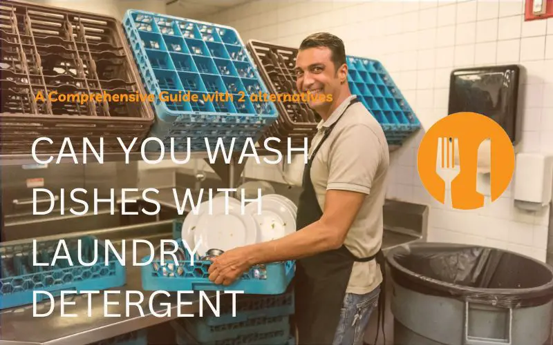Can You Wash Dishes With Laundry Detergent – A Comprehensive Guide with 2 alternatives